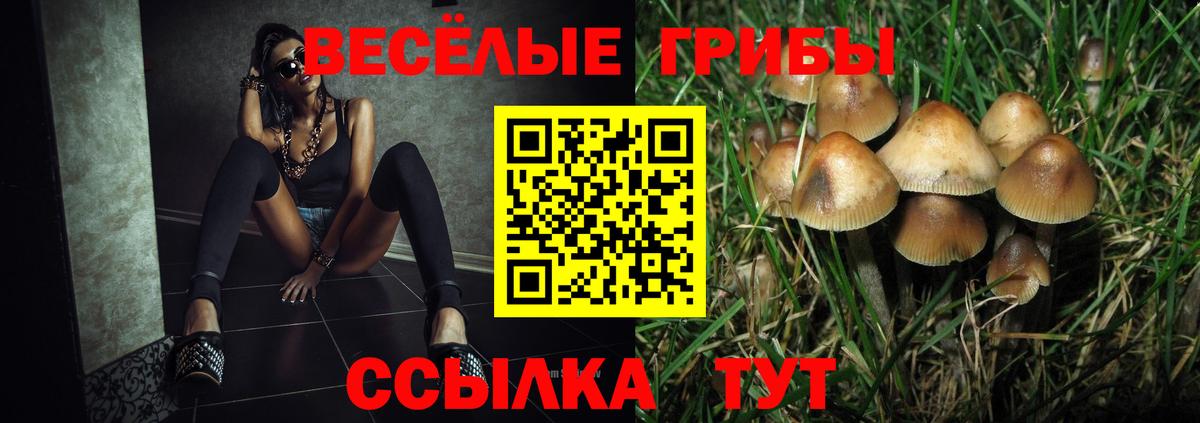 где купить наркотик  Вход с VPN  Галлюциногенные грибы мухоморы  Кольчугино  Галлюциногенные грибы Magic Shrooms 